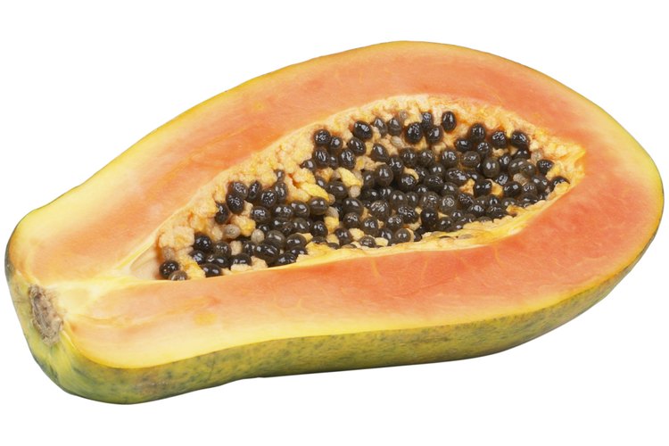 Las plantas de papaya son ejemplos de hierbas de gran tamaño.