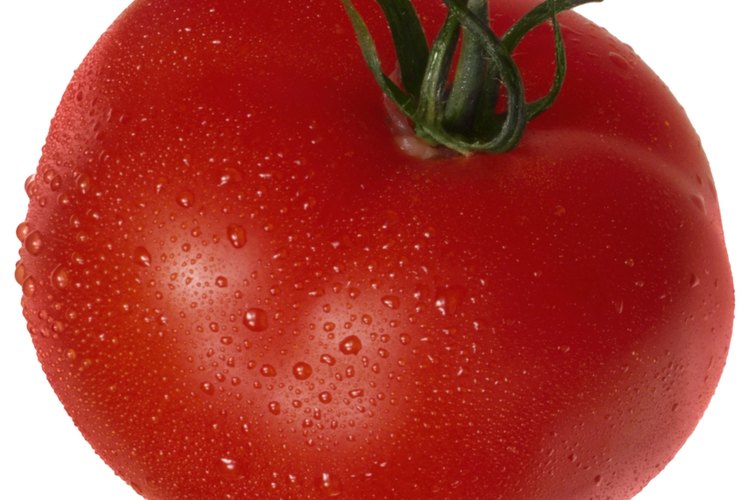 Quita las hojas y los tallos de tu planta de tomates para incrementar su tamaño y promover la maduración.