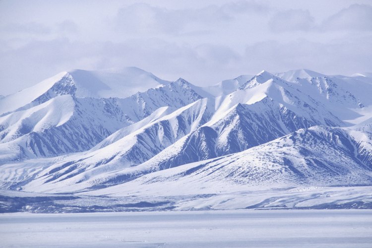 Haz una obra maestra con colorante de comida en la nieve.