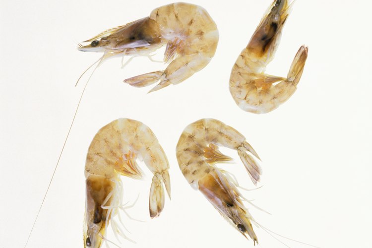 Los camarones enteros son más deliciosos que las colas.