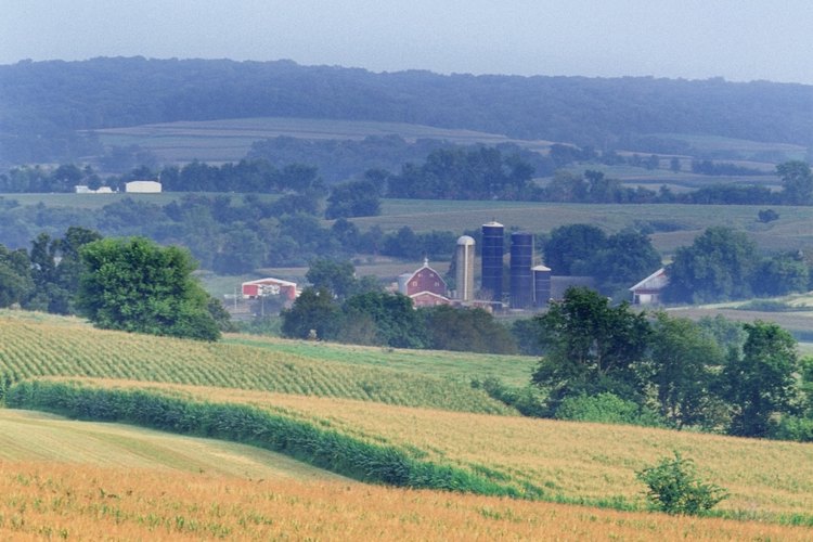 Illinois