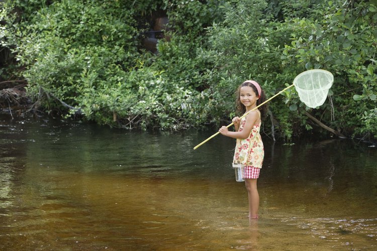 Moosehead Lake es el lugar ideal para que los niños exploren la naturaleza.