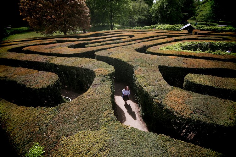 El laberinto de Hampton Court se plantó por primera vez en el siglo 17.
