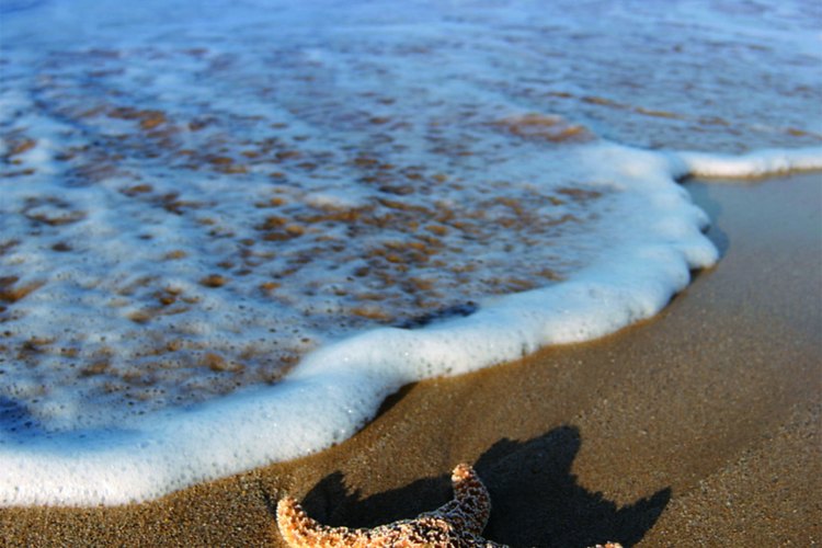 Esta playa alberga a cientos de estrellas de mar.
