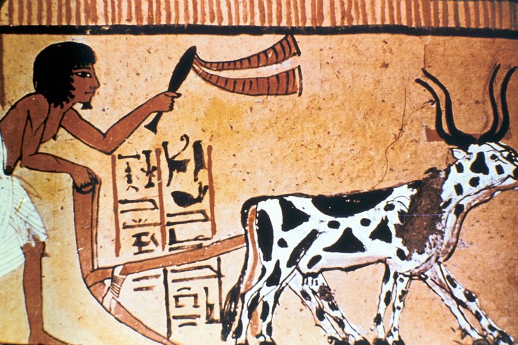La dieta de un campesino egipcio antiguo consistía en pan, carne y cerveza.
