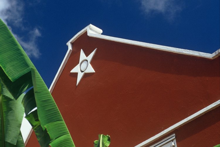Protege las hojas de plátano del viento, que las rasga.