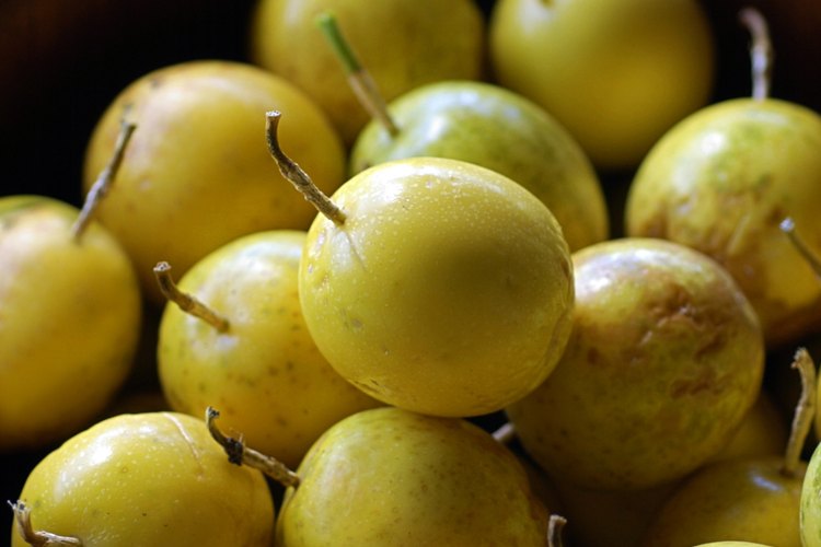 Las granadillas producen frutas todo el año.