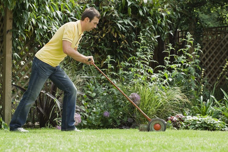 El mantenimiento regular del césped zoysia ayuda a que se vea verde y saludable.