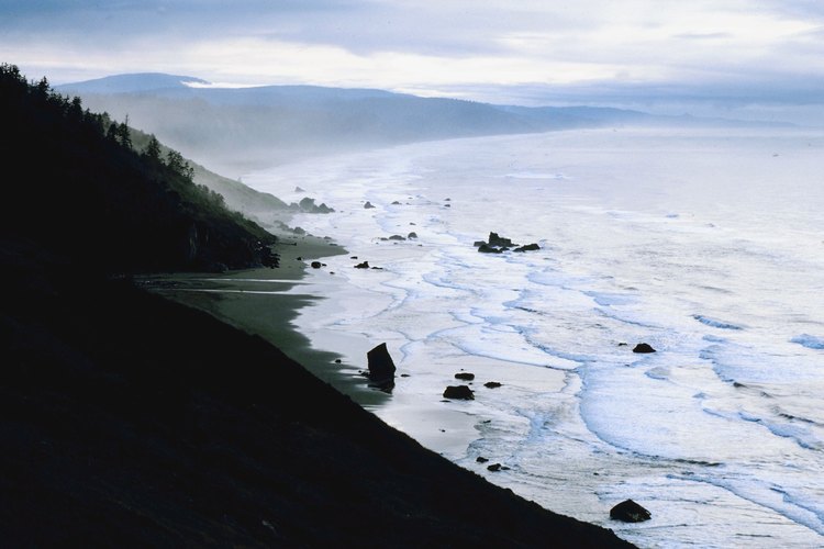 Las olas rompen en el Redwood National Park de California.