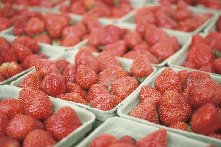 Las fresas se pueden cultivar en casi todos los países del mundo.