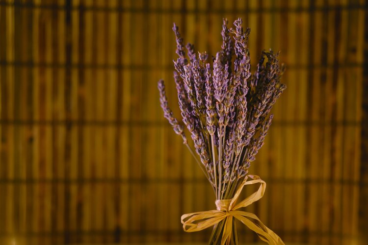 Con lavanda puedes crear bolsitas con olor dulce.