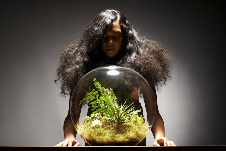 Coloca elementos enriquecedores como plantas vivas en el tanque de tu betta para alejarlo del aburrimiento.