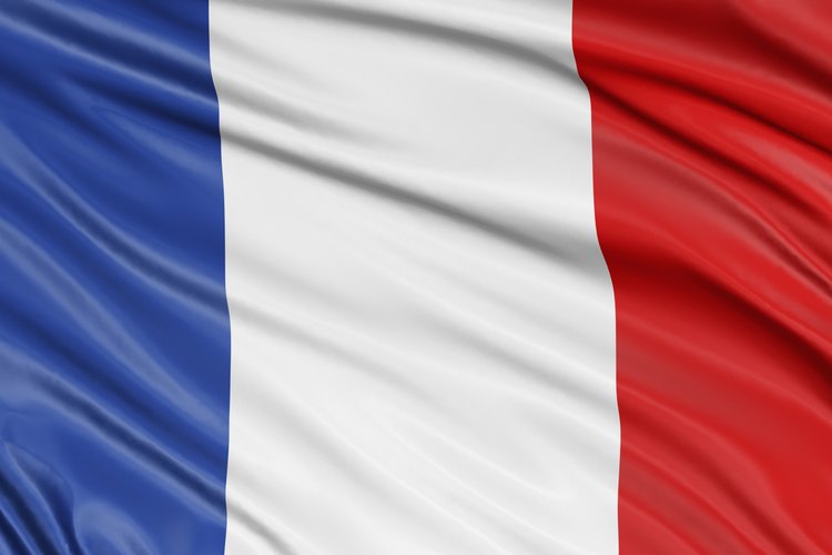 La Revolución Francesa motivó que muchos franceses dejaran su país natal y fueran a los Estados Unidos.