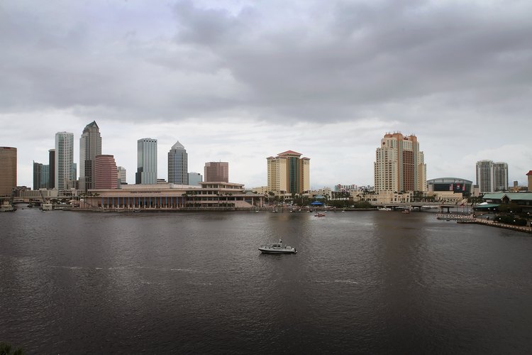 Algunos de los mejores lugares para pesca en la bahí de Tampa se encuentran a sólo unos minutos de Tampa.