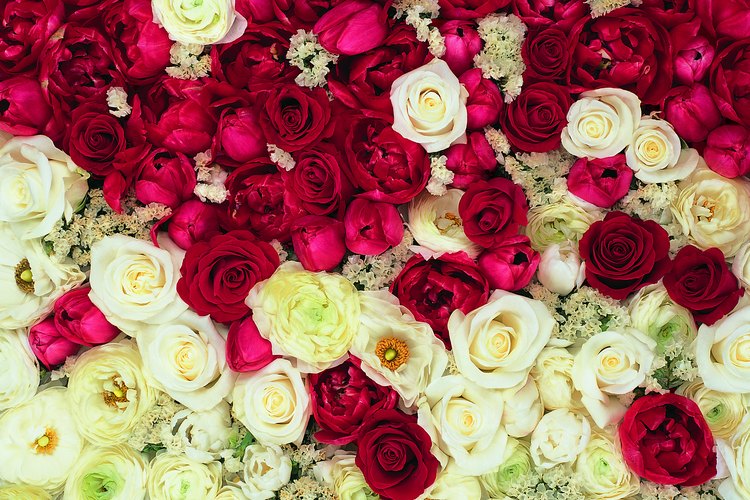 Otra consideración a tener en cuenta es que cuando combinas rosas de diferentes colores, el significado cambia.