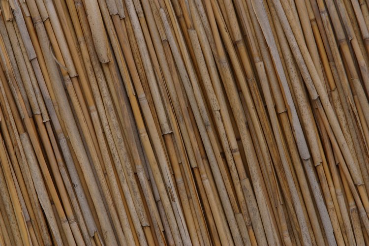 Utiliza el bambú para crear una cobertura natural de pared.