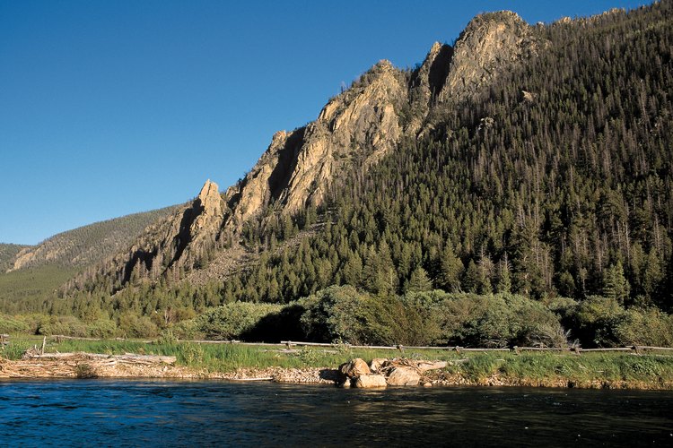 Bayfield se encuentra a lo largo de una ruta de migración de ciervos corriendo entre Durango y Pagosa Springs.