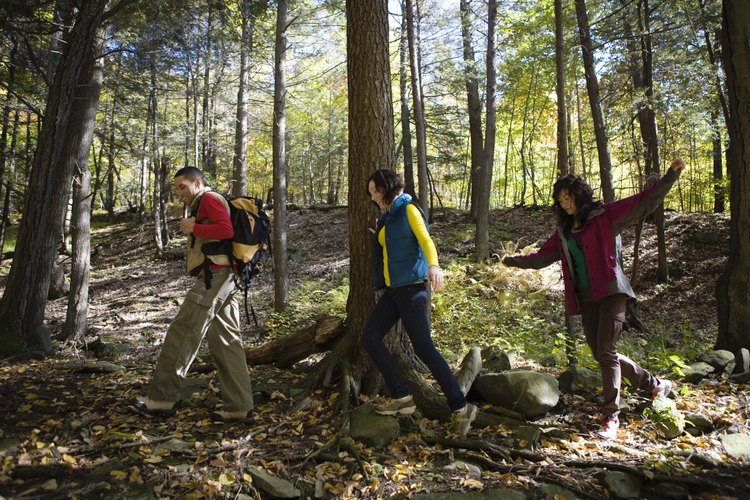 El Wilmington Trails Committee mantiene muchos senderos en esta área.