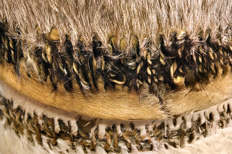 Pieles de animales cosidas sobe un tambor africano.