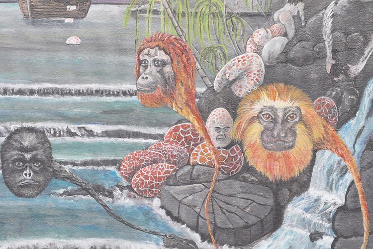 Los seres humanos comparten características de adaptación de los primates con los simios y monos.