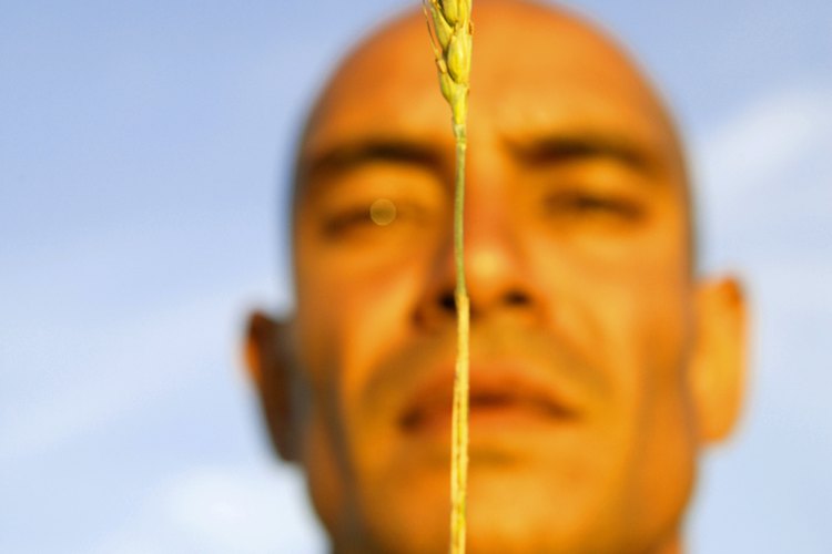 El aceite derivado de germen de trigo tiene fines medicinales.