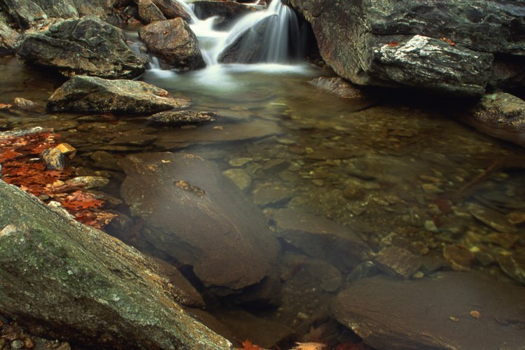 Al recorrer el sendero Glen Burney podrás admirar hermosas cascadas.