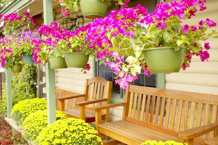 Los contenedores y macetas colgantes de flores dan la bienvenida a los invitados a la puerta delantera.