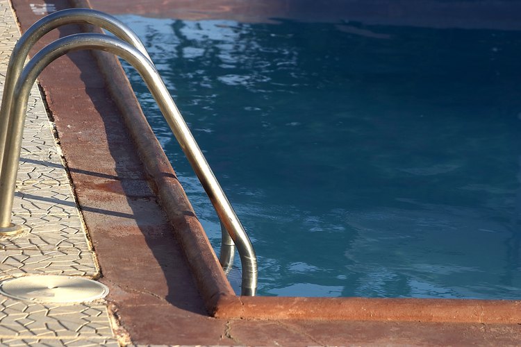 Los roedores a menudo se ahogan en las piscinas después de caer en ellas porque no pueden salir.