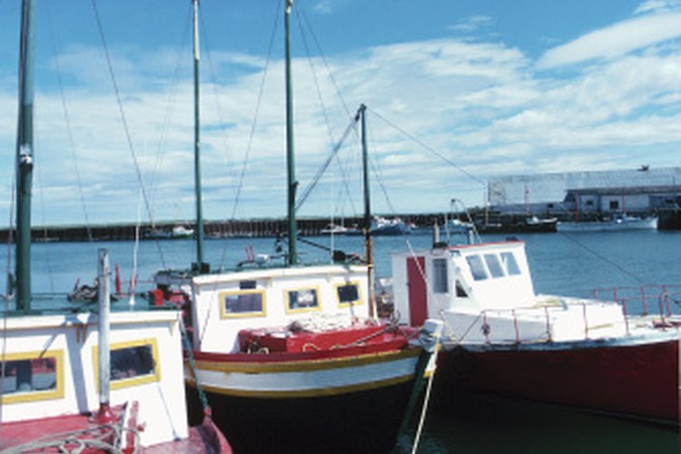 Las tortugas marinas se enfrentan a su mayor peligro por actividades humanas como la pesca.