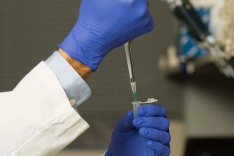 Los candidatos de la escuela veterinaria tienen excelentes calificaciones en química, biología y ciencias físicas.