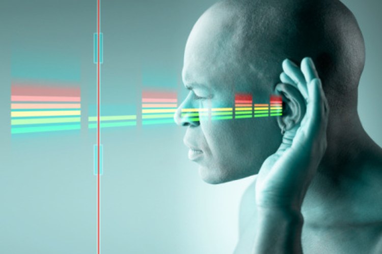 Los transductores son componentes clave para convertir y transmitir el sonido.