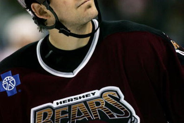 El equipo de hockey de los Hershey Bears es propiedad de la Hershey Entertainment and Resorts Company.