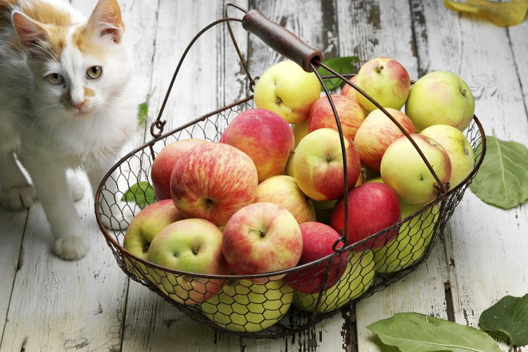 Las frutas solas, en pequeñas cantidades, es una opción más segura que los pasteles.