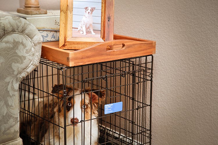 La jaula del perro no tiene que ser desagradable a la vista cuando funciona como una práctica mesa auxiliar.