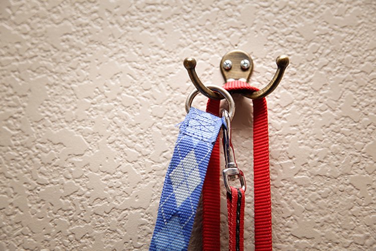 Cuelga las correas de tu cachorro junto a la puerta, para siempre estén a mano cuando deseas salir.