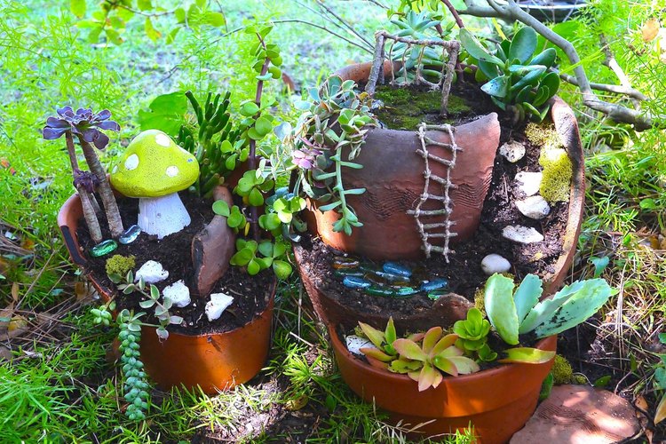Un jardín de hadas.