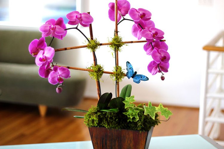 Un arreglo floral con una orquídea que puedes hacer por tu cuenta.