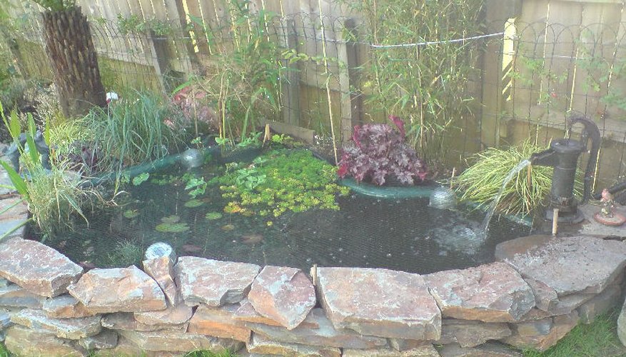 A lovely preformed garden pond