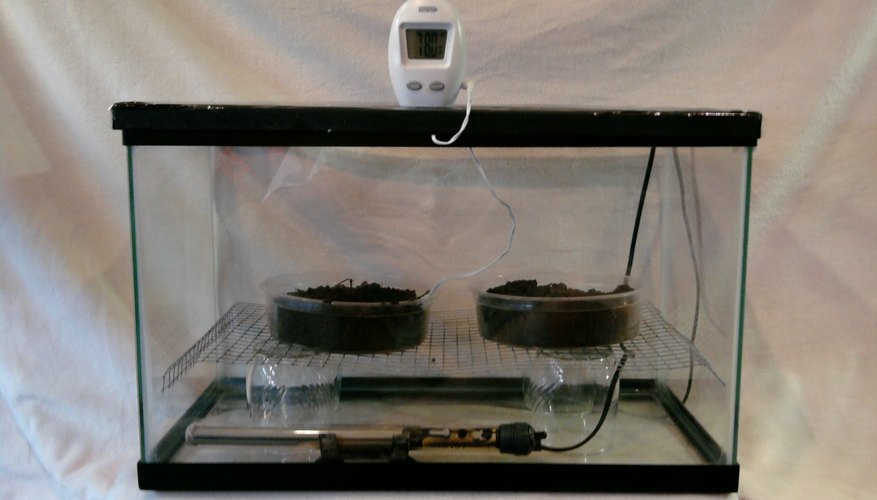 A homemade tortoise incubator