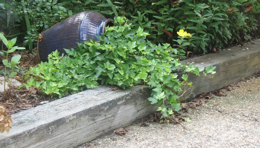 Wood landscape timber edging