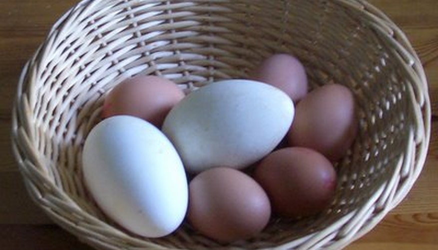 Goose eggs and jumbo chicken eggs