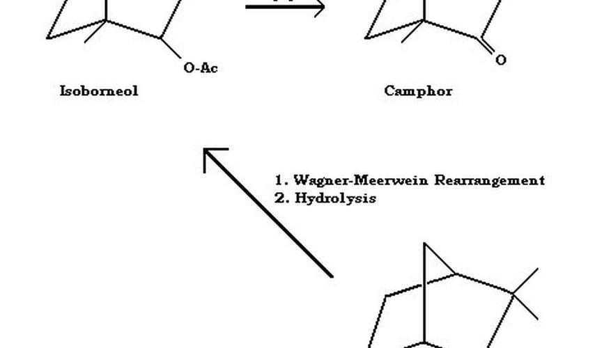 Camphene to Isoborneol to Camphor Overall Reaction Schematic