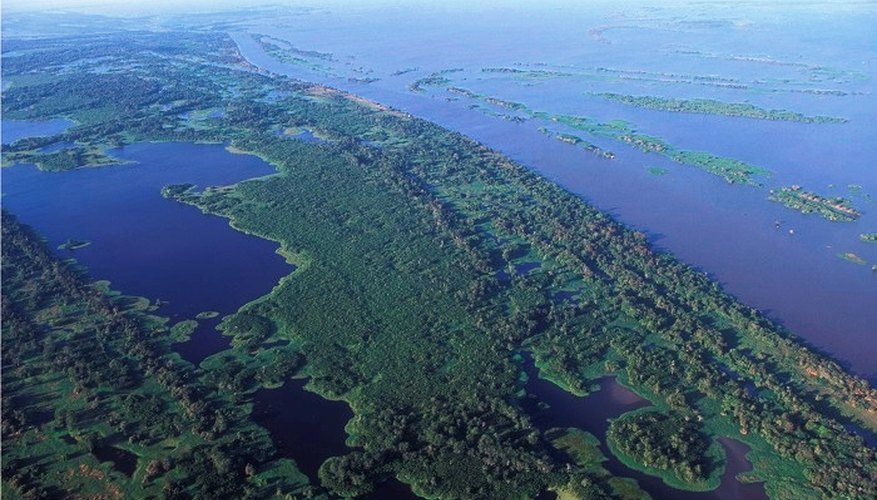 The Amazon flows into a wide ocean estuary.