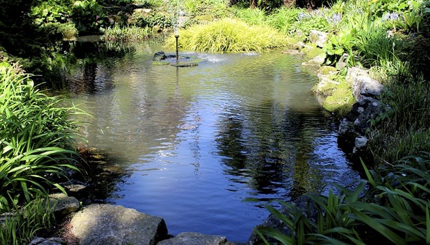 Timely pond repairs can stop water from leaking away.