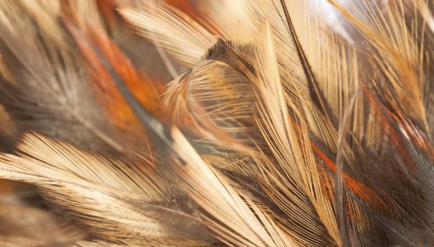 Delicate feathers can be damaged in sterilisation processes.