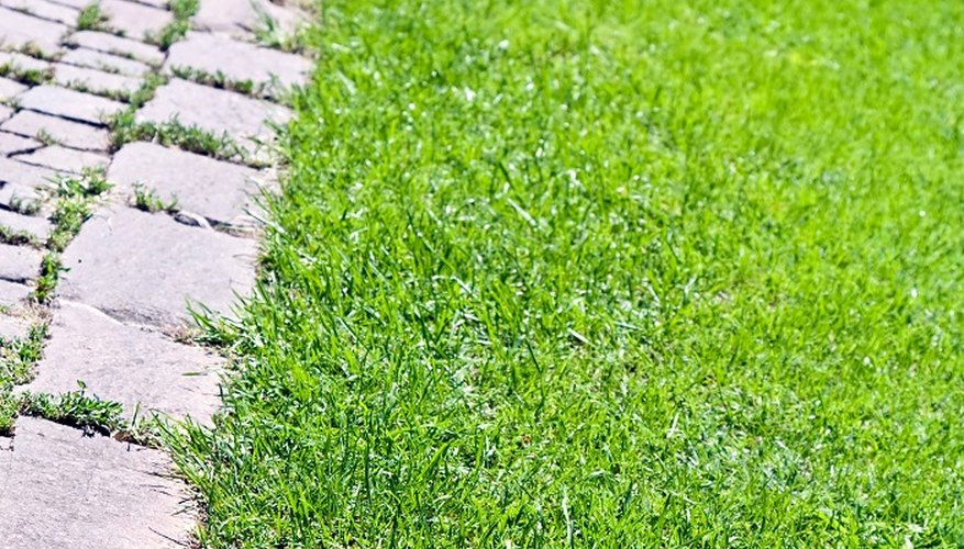 A brick edge can help define your lawn and maintain a manicured appearance.