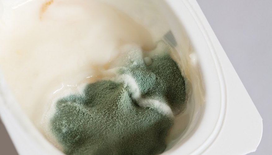 Make sure your yoghurt is mould-free before tucking in.