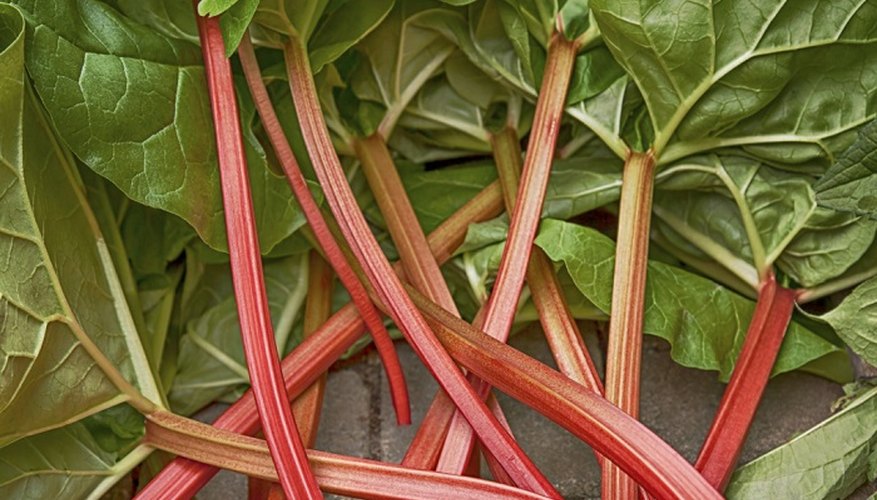 Remove oxalic acid from rhubarb leaves when making wine or juice.
