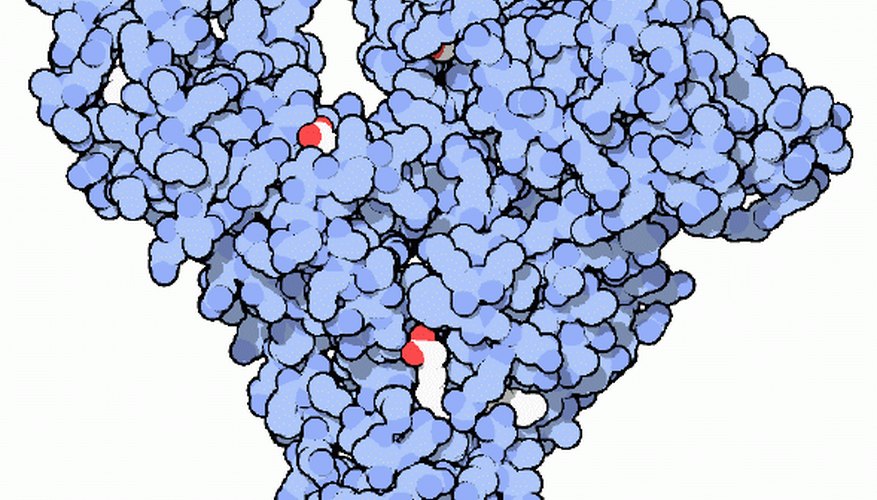 what-are-the-causes-of-low-blood-protein-ehow-uk