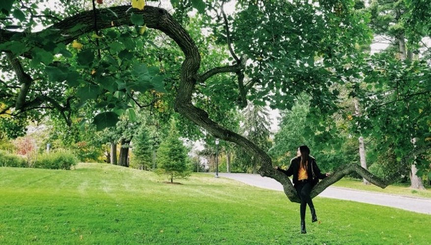 Woman in black jacket and black pants standing on green grass field during daytime.jpg